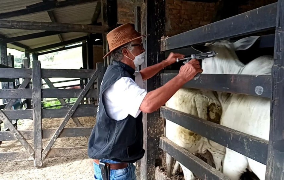 Foto Divulgação Adab