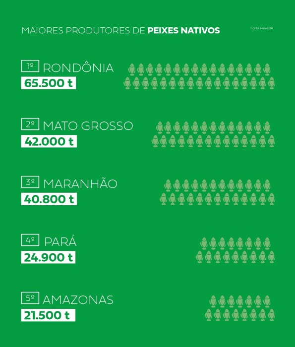 PeixeBR Infografico Queda na Producao de Peixes Nativos divulgacao