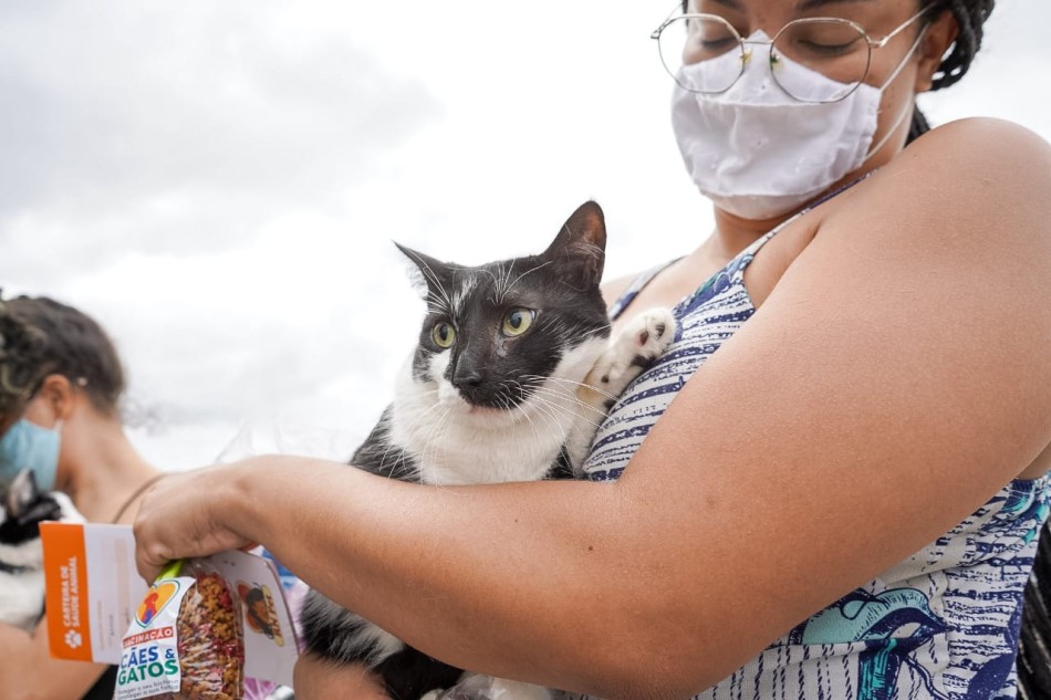 DIA D CAES E GATOS 9 Copia