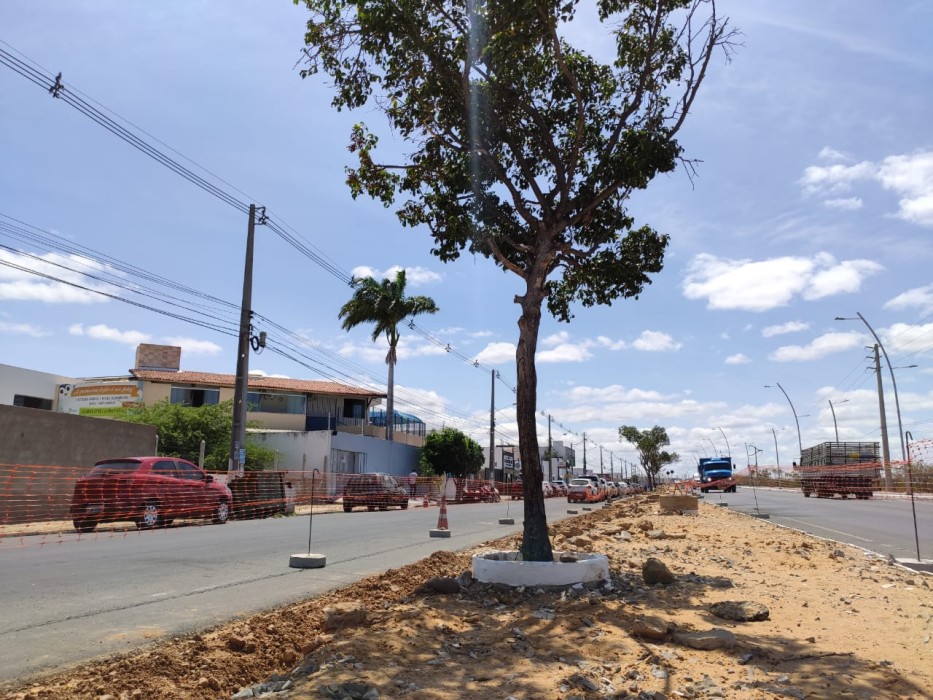 Duplicação da Avenida Cardoso de Sá VII