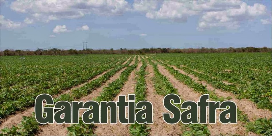 Garantia Safra 03