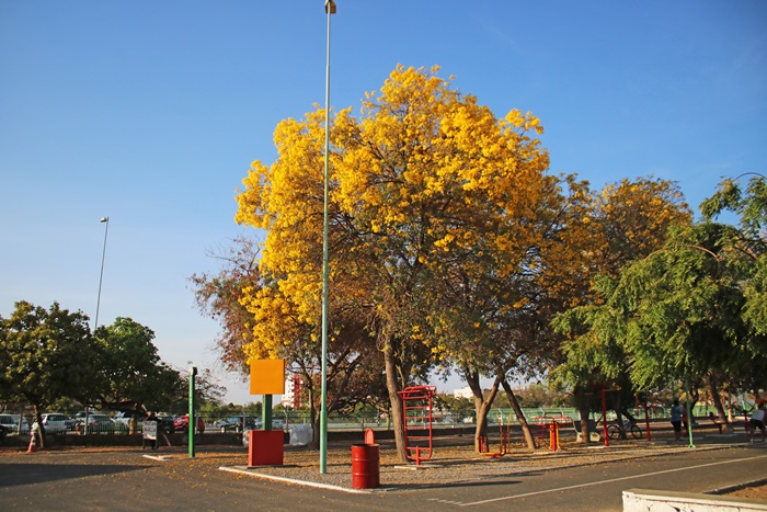 arque Municipal Petrolina III