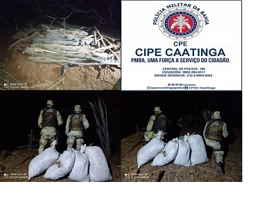 cipecaatinga