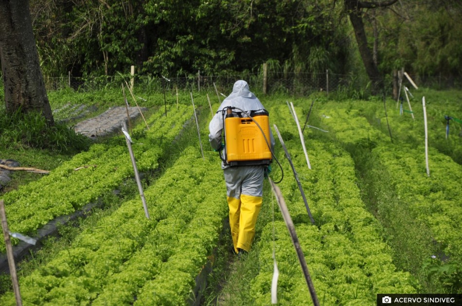 thumbnail SINDIVEG Ensino à distância para agricultores