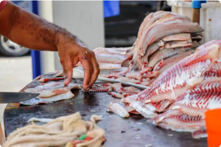 Na Semana Santa procura por peixes movimenta tradicional mercado central em Petrolina