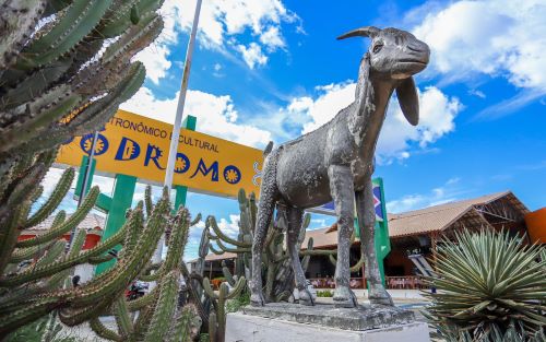 Bodódromo: Espaço Gastronômico em Petrolina oferece uma variedade de pratos