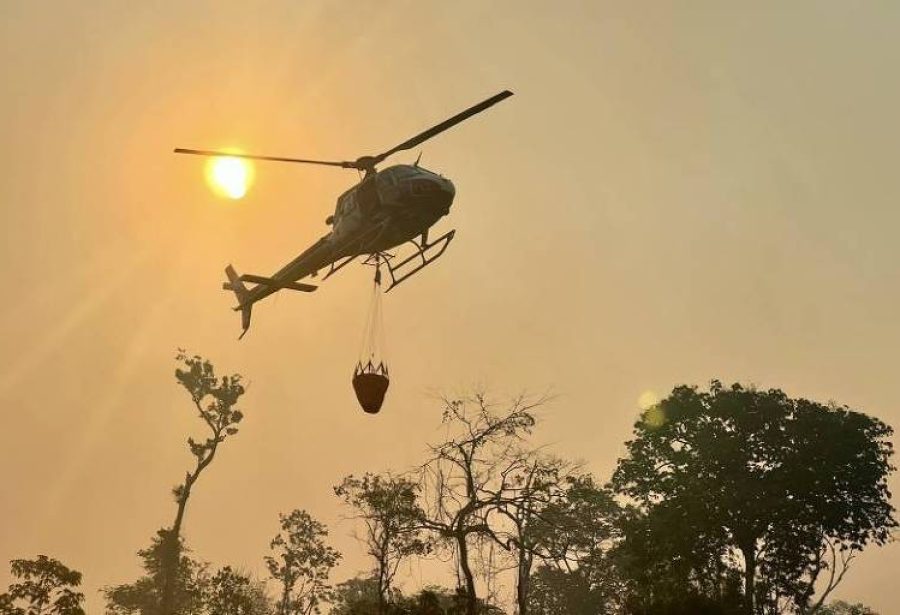 Incêndios aumentam em outubro, e área destruída no Brasil em 2024 já equivale ao território de Tocantins