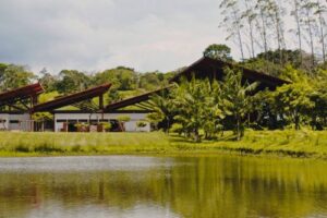 Dengo Origem abre o espaço ao público com evento cultural e visitação gratuita à cabruca