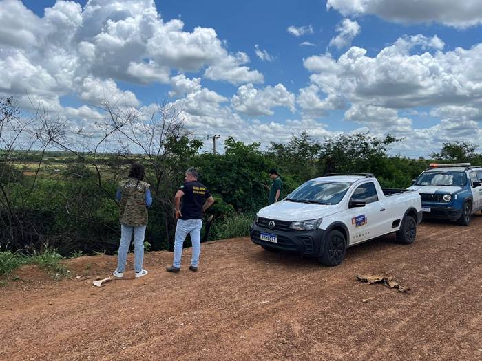Fiscalização autua responsável por descarte de animais mortos no Maria Tereza