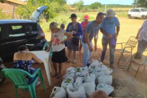 Prefeitura de Casa Nova realiza entrega de alimentos do PAA para famílias de Salgadinha, São Luiz e Santana do Sobrado