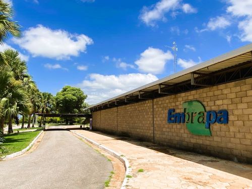 Audiência pública marca etapa do processo de seleção para Chefe-geral da Embrapa Semiárido