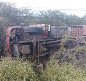 Caminhão que transportava gado tomba no N-1