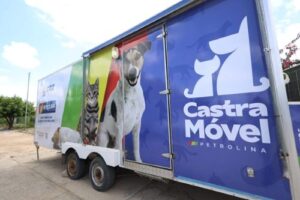 Castramóvel na rua: Mais de 600 cães e gatos já foram castrados em Petrolina este ano