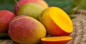Abrafrutas intensifica promoção internacional e leva frutas brasileiras ao mercado indiano em missão estratégica