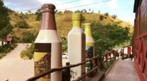 Destilarias paraibanas ganham destaque na Cachaça Trade Fair, que celebra 10 anos em São Paulo