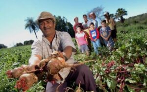 Sintraf-Petrolina orienta agricultores familiares sobre acesso à aposentadoria rural