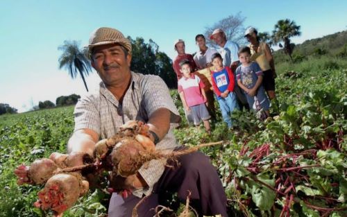 Sintraf-Petrolina orienta agricultores familiares sobre acesso à aposentadoria rural