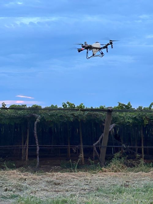 Especialistas em drones agrícolas participam em Juazeiro-BA do SINDAG Drone Tec