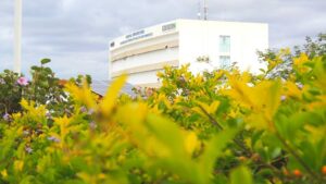 HU-Univasf ultrapassa 12 mil atendimentos a vítimas de trânsito e reforça campanha