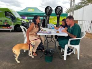 Castramóvel atende mais de 250 animais em Lagoa Grande