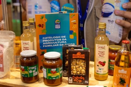 Agricultura familiar ganha espaço na SuperBahia 2026 e fortalece conexão entre pequenos produtores e o varejo