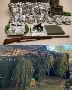 Casa Nova: Operação Força Total apreende armas de fogo e maconha