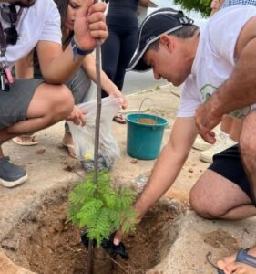 Prefeitura de Petrolina orienta como cuidar de uma árvore recém-plantada