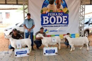 8ª Feira do Bode fortalece a agricultura familiar, movimenta a economia e celebra a cultura do Junco, em Juazeiro