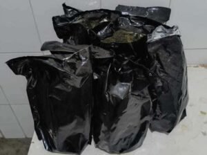 Polícia apreende cerca de 9 kg de maconha no bairro Antônio Guilhermino, em Juazeiro