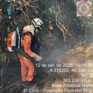 Estado da Bahia intensifica combate a incêndio florestal e protege comunidades no Norte baiano