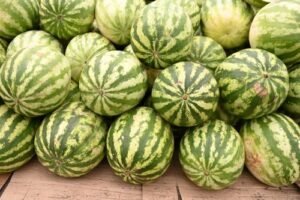 Super El Niño: Prefeitura de Juazeiro divulga cotação dos hortifrutigranjeiros e destaca fruta que ajuda na hidratação durante o calor